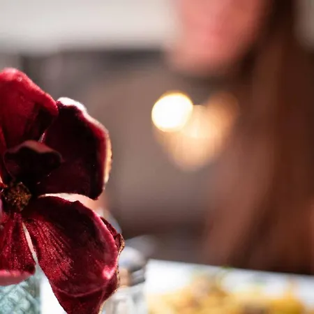 호텔 Mountainpark | Event- Und Tagungshotel 카셀