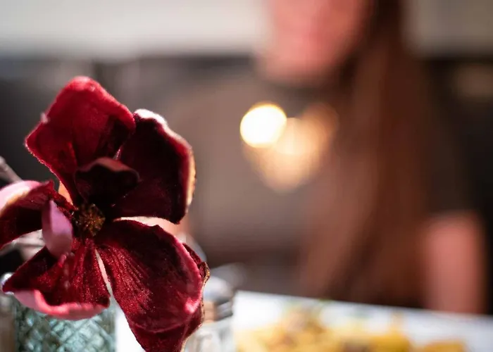 Hotel Mountainpark | Event- Und Tagungshotel Kassel